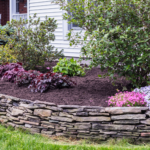 Ornamental landscaping bed outside of a light colored home. Green shrubs and pink flowers with dark mulch for Spring Landscape Preparation