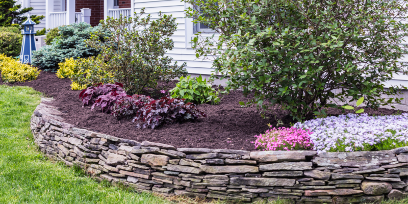 Ornamental landscaping bed outside of a light colored home. Green shrubs and pink flowers with dark mulch for Spring Landscape Preparation