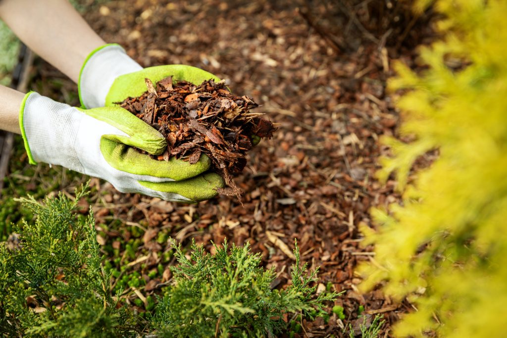 Sharing a mulching checklist