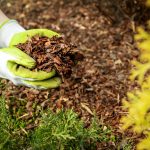 Sharing a mulching checklist