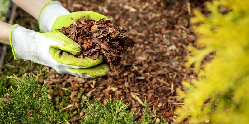 Sharing a mulching checklist