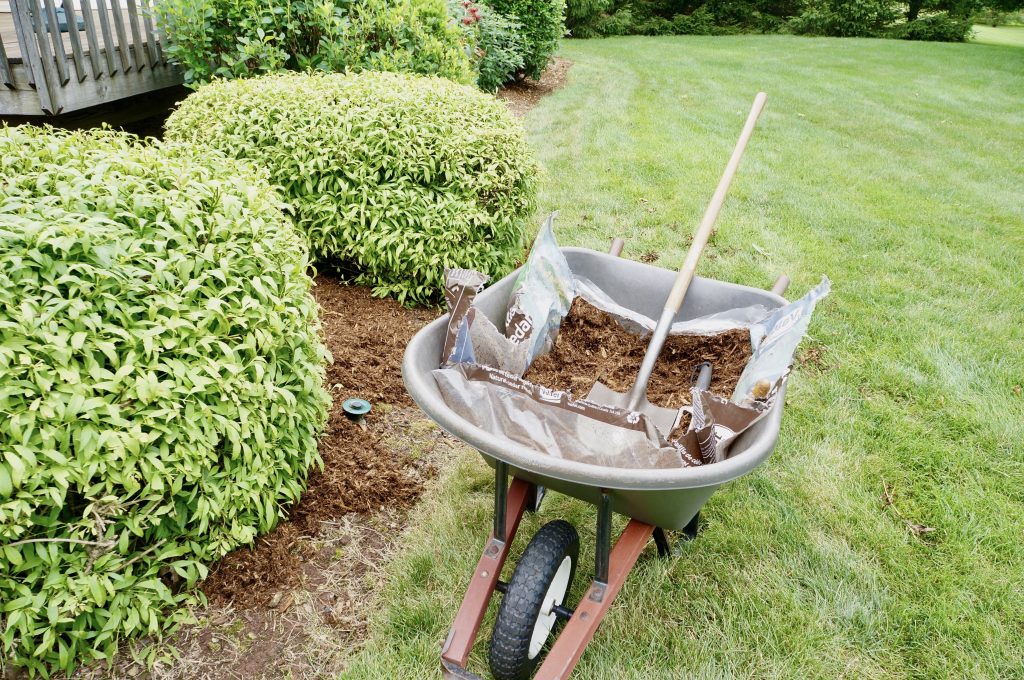 adding new mulch to landscape beds on the lawn