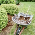 adding new mulch to landscape beds on the lawn