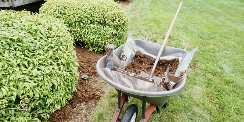 adding new mulch to landscape beds on the lawn