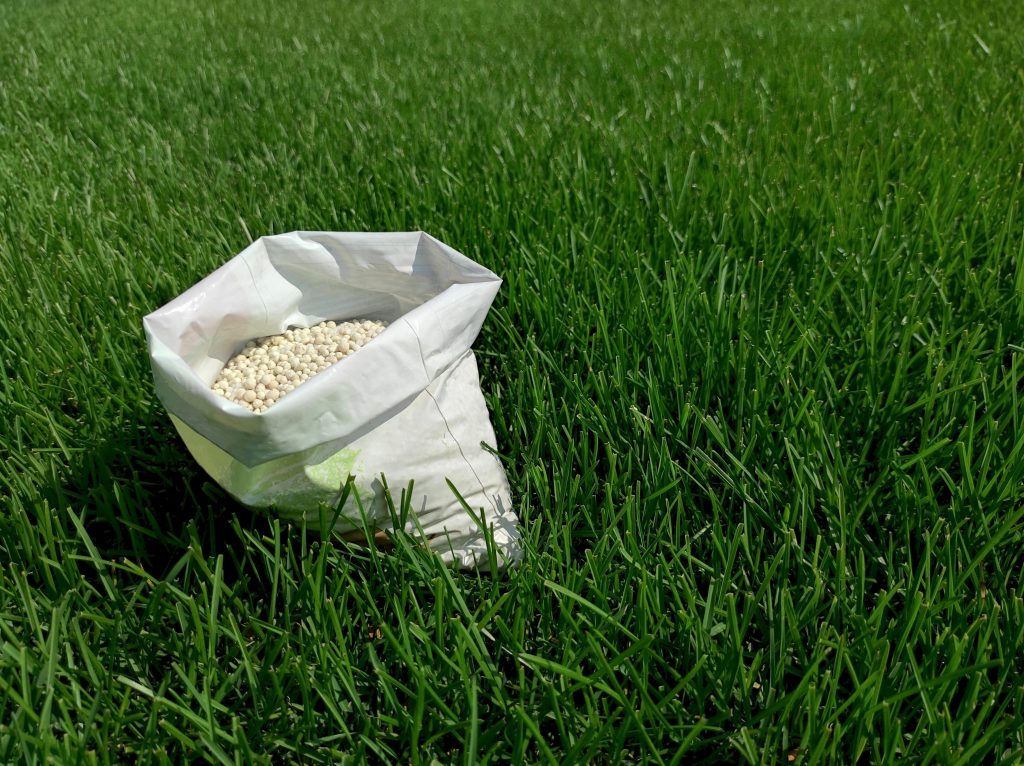 A bag of grass seed is being prepared for professional aeration and overseeding