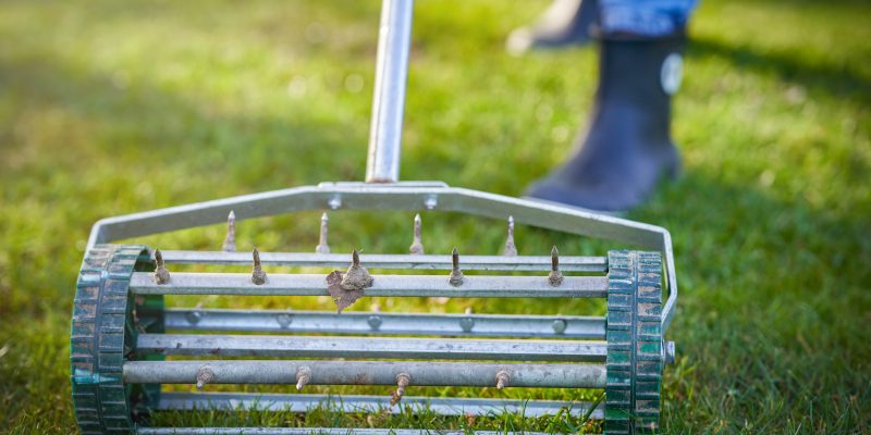 Professional landscaper providing aeration 