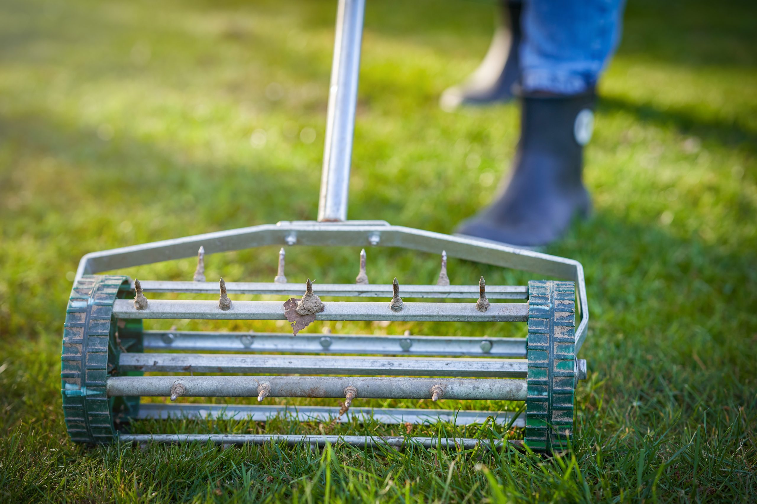 Professional landscaper providing aeration 