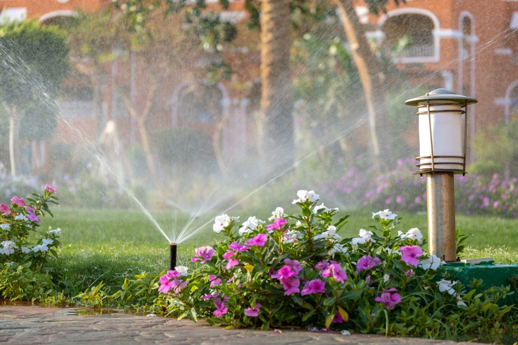 Roanoke sprinkler spraying on a bed of newly planted pansies for Spring Landscape Preparation