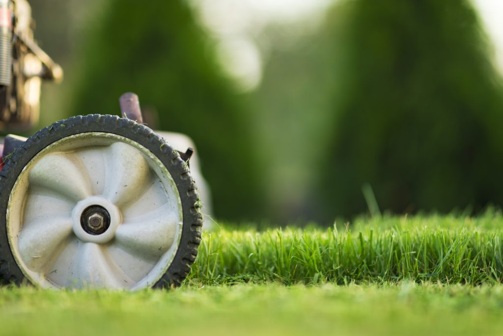 Spring Lawn Care Mistakes to Avoid in Roanoke