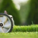 Spring Lawn Care Mistakes to Avoid in Roanoke