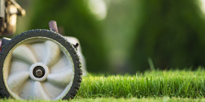 Spring Lawn Care Mistakes to Avoid in Roanoke