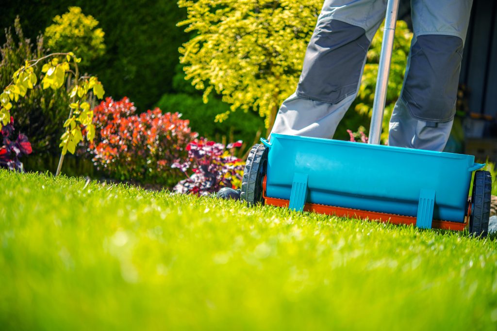 Spring Lawn Care Mistakes to Avoid in Roanoke