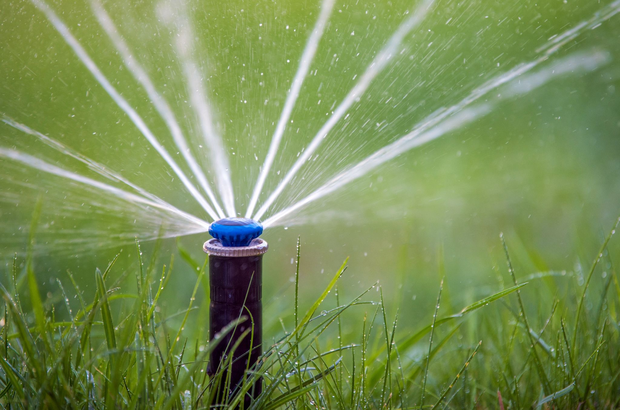 pop-up sprinkler system for your lawn will keep it happy and green all season long! -- irrigation system installation Roanoke VA